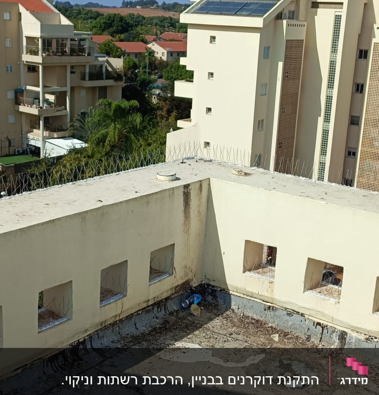 דוקרנים על גג למניעת קינון יונים